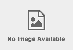 no-image-239x164